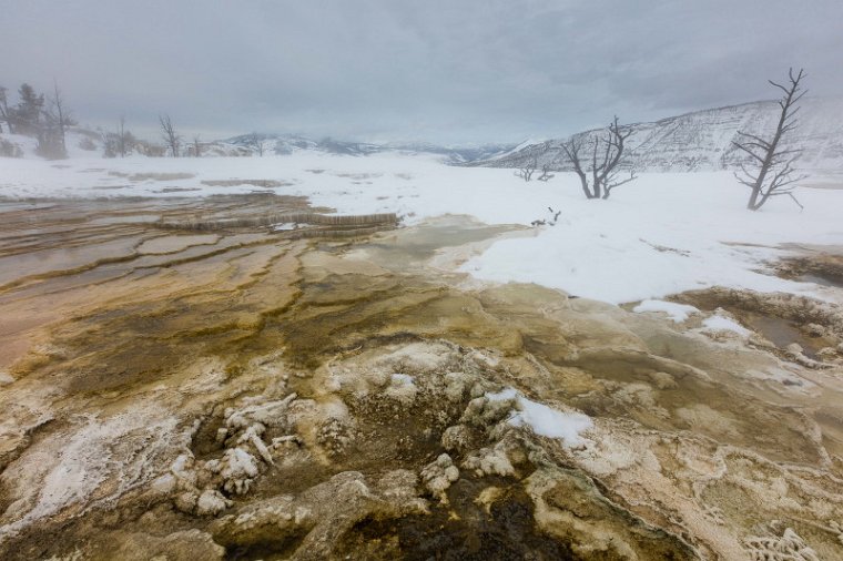 36 Yellowstone NP.jpg